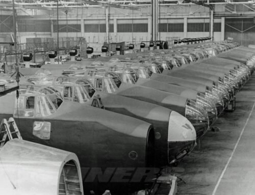 STRANDED in THE LAND of HALIFAXES